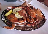 PhillipsHardshellCrab