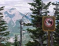 SulphurAnimalSign