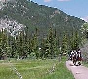 HorseRidingView