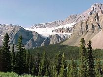 CrowfootGracier