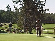 Golfers