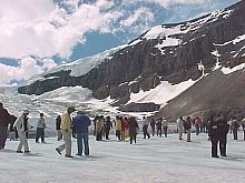 OntheIcefield.jpg