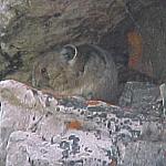 MorainePika