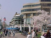 WashingtonHarbour